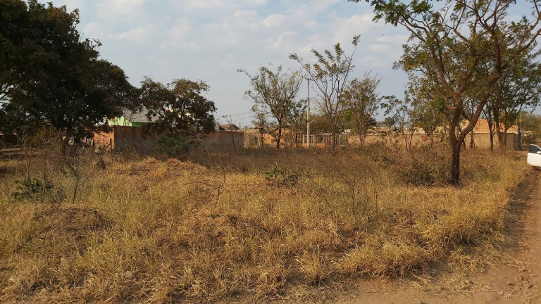 Imagem Terreno à Venda, 200 metros em Parque Novo Século - Campo Grande