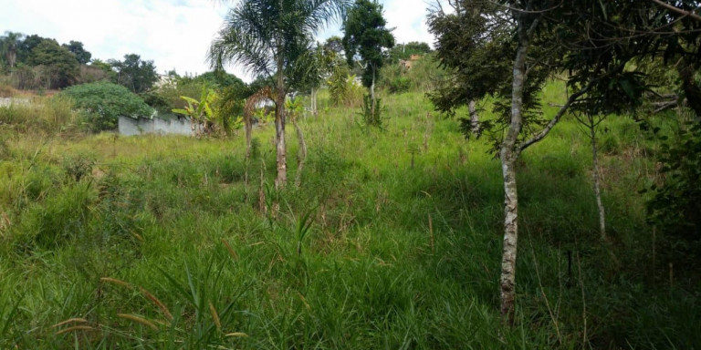 Chácara com 1 Quarto à Venda, 2.600 m² em Centro - Santa Isabel