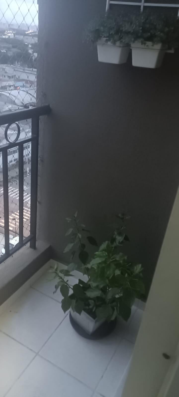 Imagem Apartamento com 2 Quartos à Venda, 63 m²em Parque Novo Mundo - São Paulo