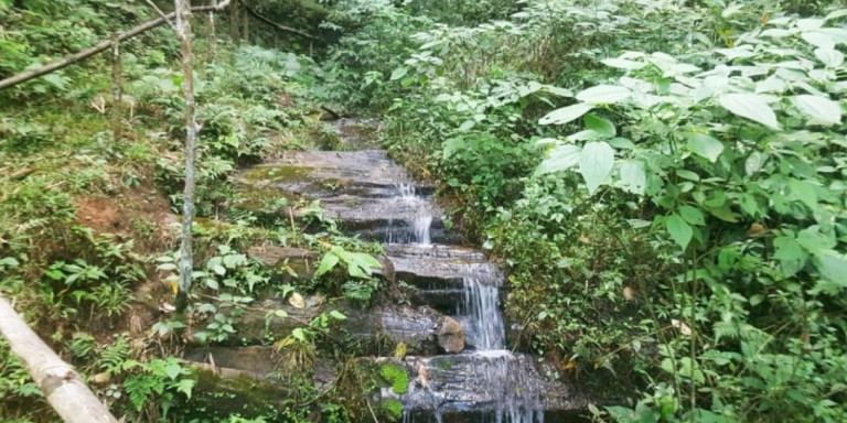 Imagem Chácara com 3 Quartos à Venda, 30.000 m² em Centro - Santa Isabel