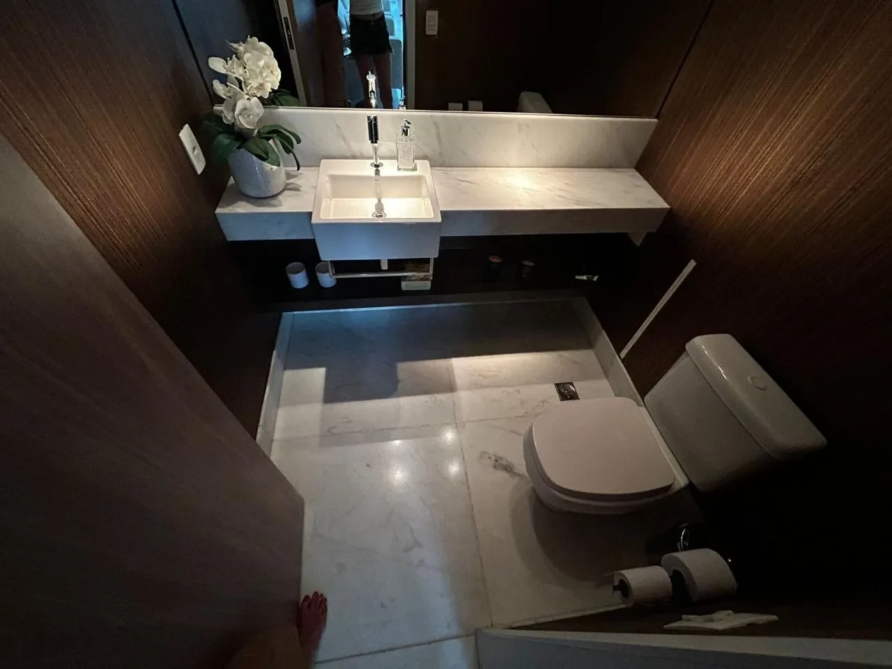 Imagem Apartamento com 5 Quartos à Venda, 223 m² em Vila Mariana - São Paulo