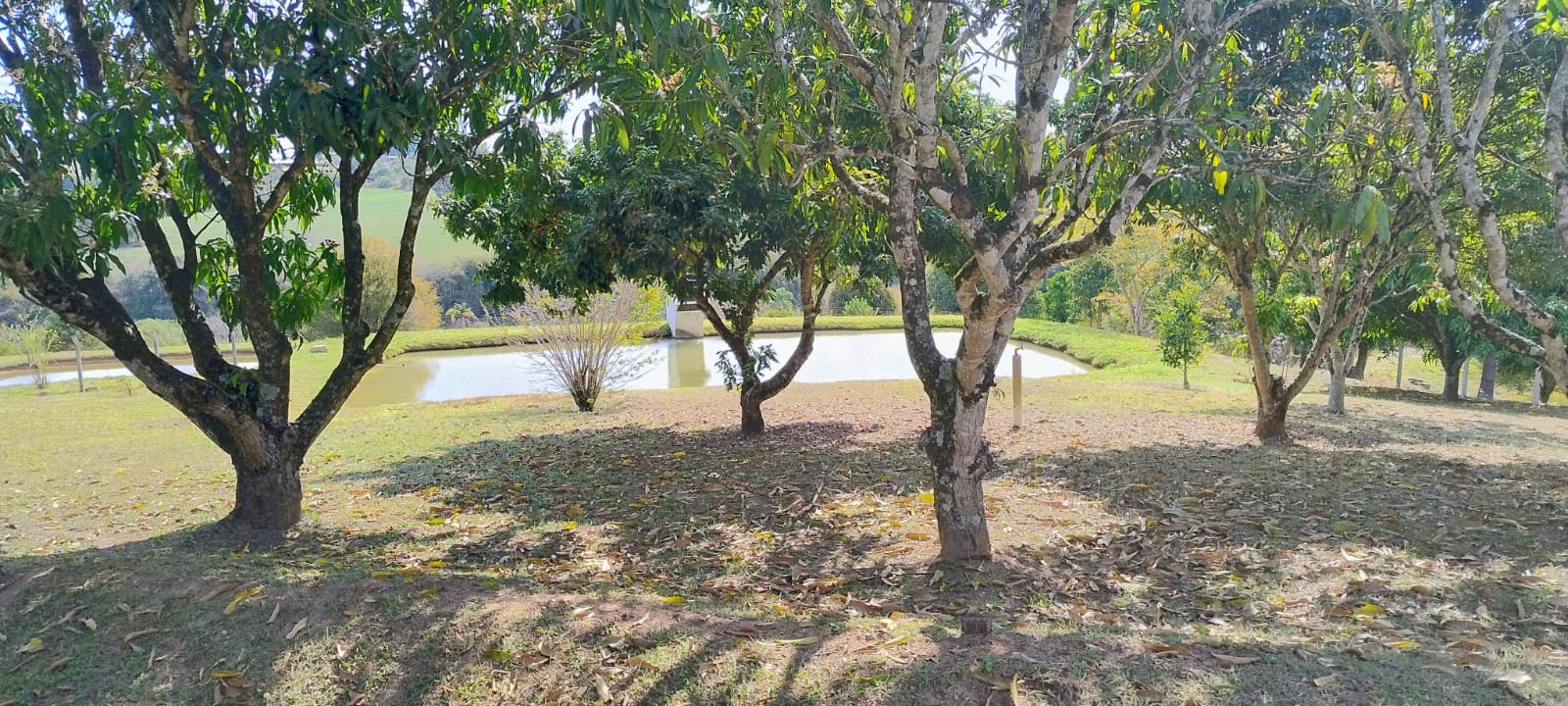 Foto do imóvel: Chácara com 6 Quartos à Venda, 512 m² em rural - Araçoiaba da Serra