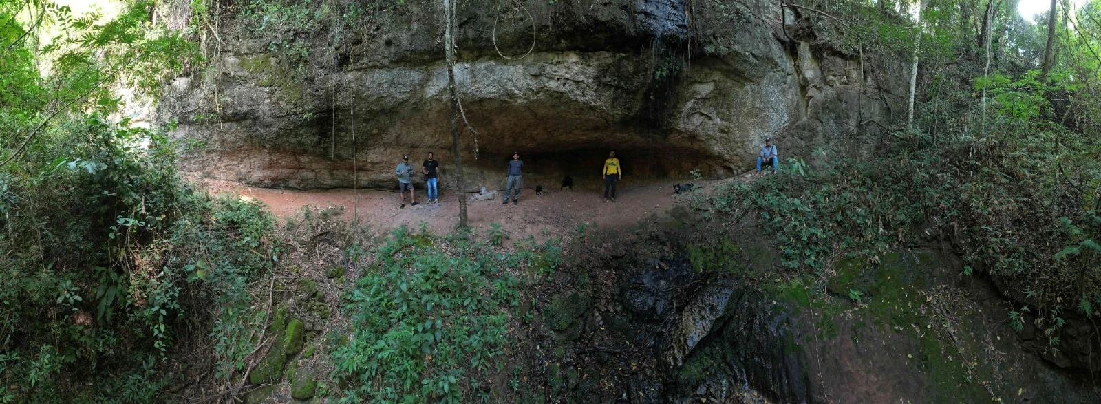 Imagem Fazenda à Venda, 138 HA em Área Rural de Echaporã - Echaporã