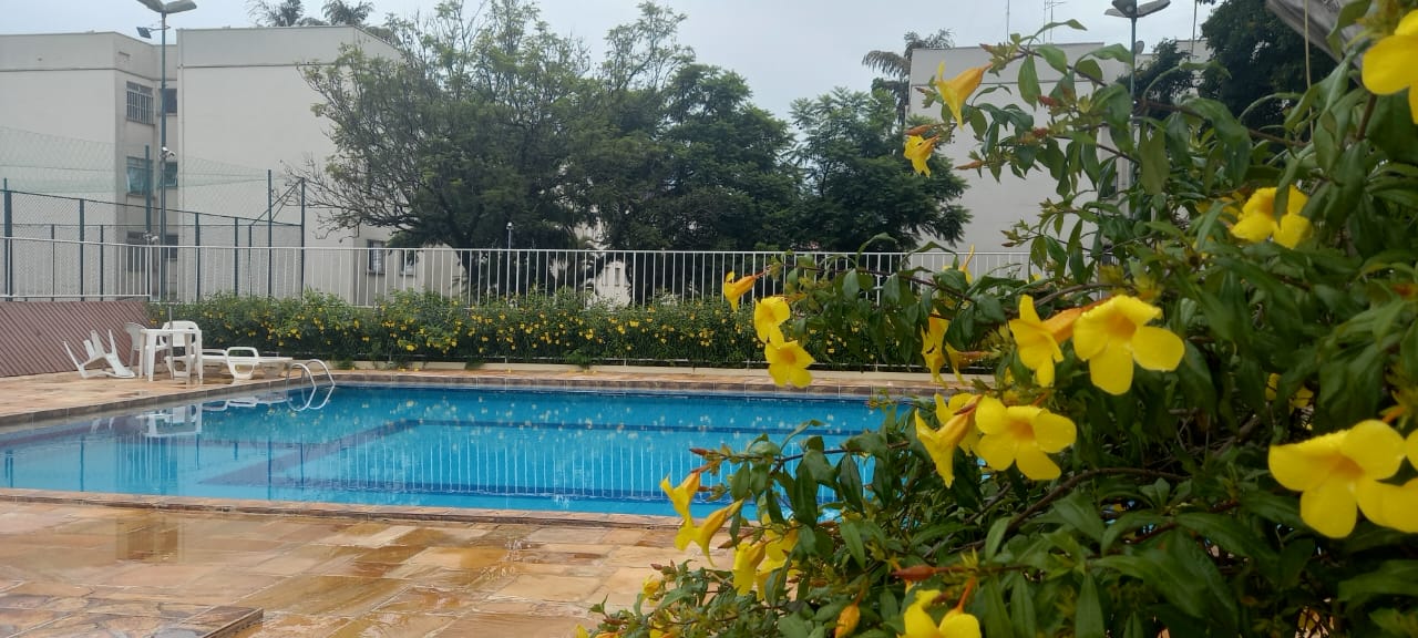 Imagem Apartamento com 2 Quartos à Venda, 53 m²em Jardim Miranda - Campinas