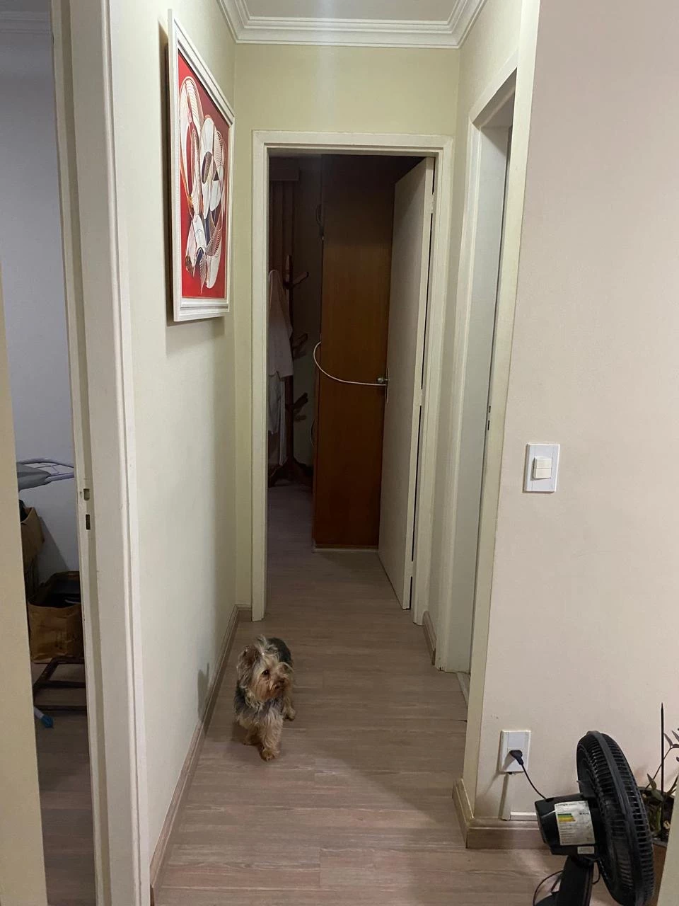 Foto do imóvel: Apartamento com 3 Quartos à Venda, 80 m² em Parque da Figueira - Campinas