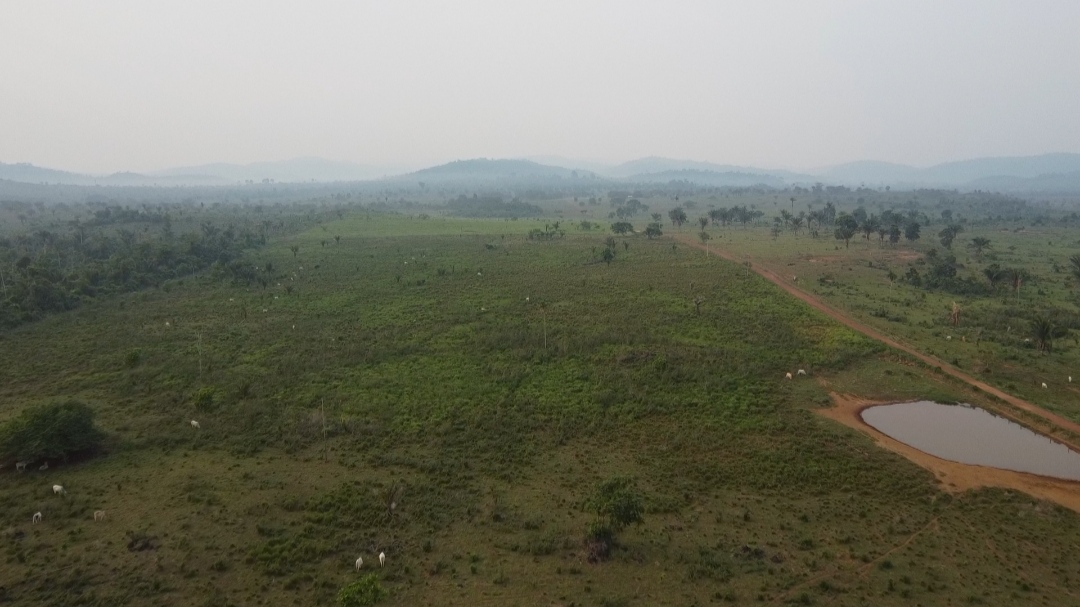Foto do imóvel: Fazenda à Venda, 1 m²em Centro  - São Félix do Xingu