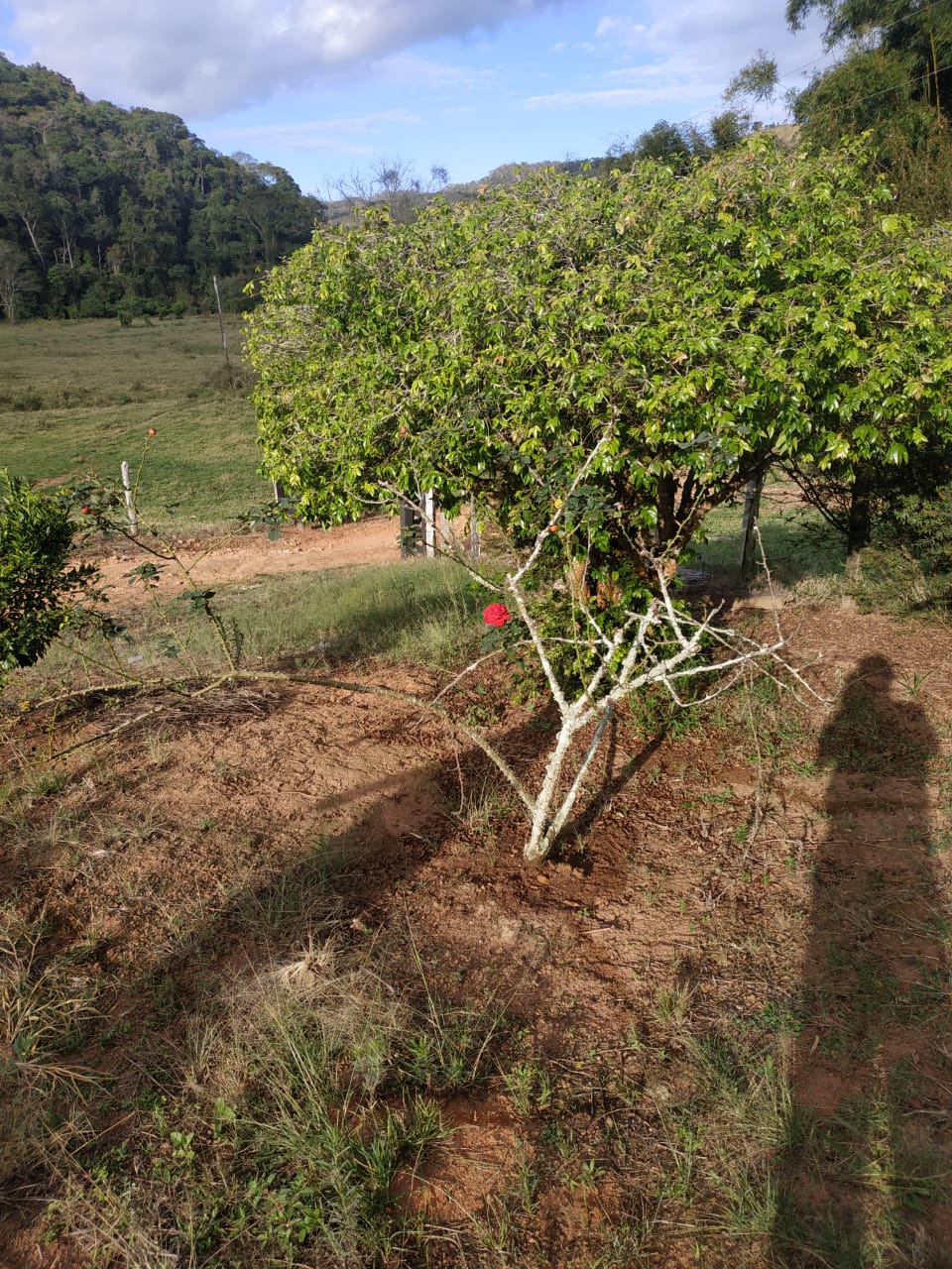 Imagem Imóvel com 4 Quartos à Venda, 200 m²em Canaã - Jambeiro