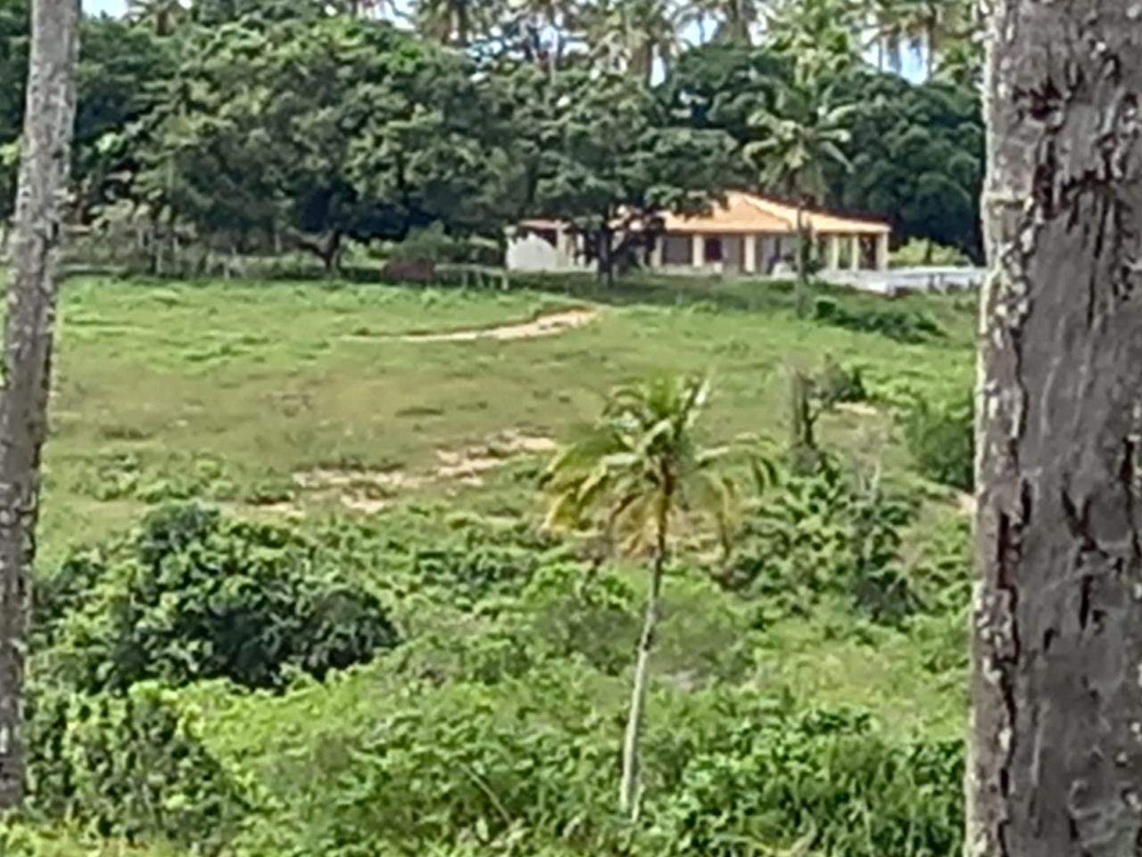 Foto do imóvel: Chácara com 3 Quartos à Venda, 90 m² em Centro - São Cristóvão