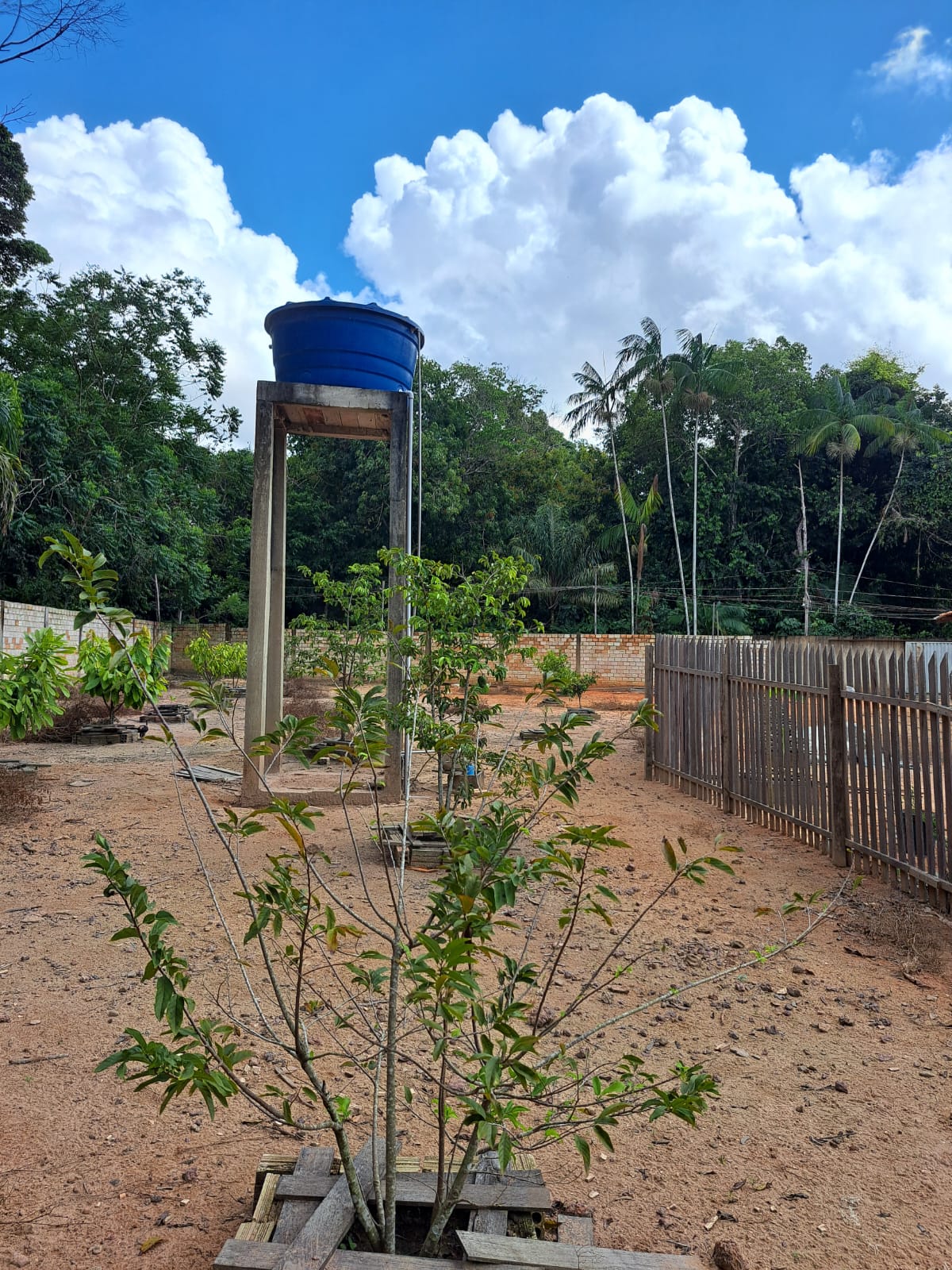 Imagem Chácara com 3 Quartos à Venda ou Temporada, 7 m²em Matinha - Santarém
