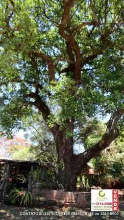 Chácara com 3 Quartos à Venda, 150 m² em Bueno De Andrada - Araraquara