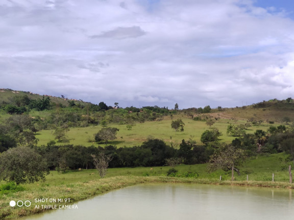 Imagem Fazenda à Venda, 400.000m² em Girassol - Cocalzinho de Goiás