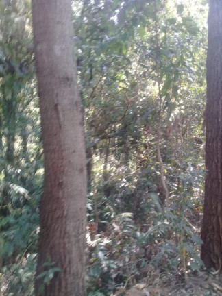 Imagem Terreno à Venda, 123.000 m² em Zona Rural - Santa Bárbara do Tugúrio