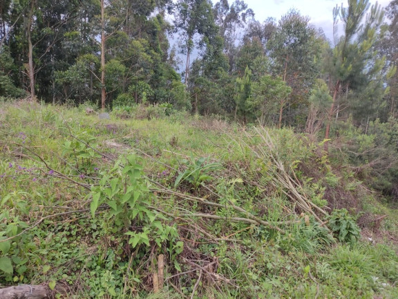 Imagem Terreno à Venda, 1.480 m² em LEÃO - Agudos do Sul