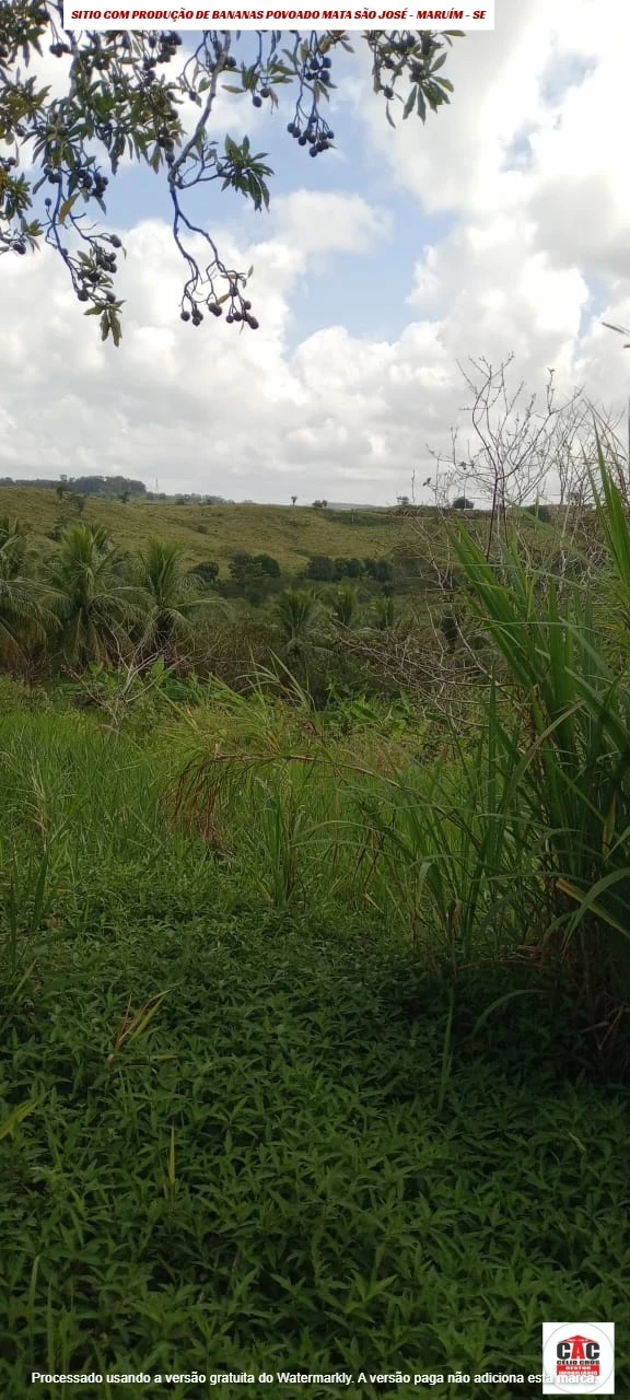 Foto do imóvel: Chácara com 2 Quartos à Venda, 80 m² em Maruim - Maruim