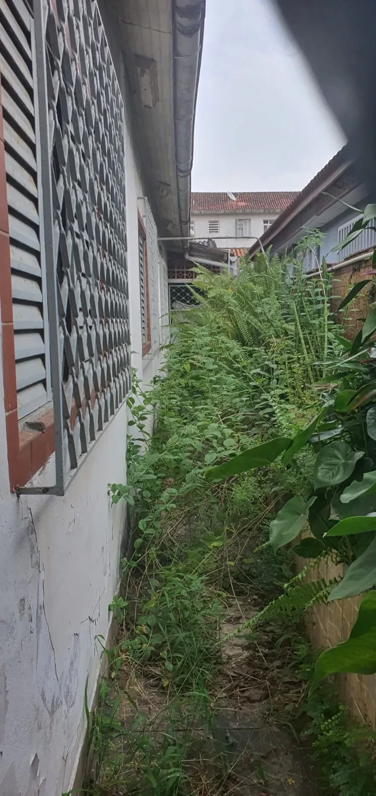 Imagem Casa com 4 Quartos à Venda, 330 m² em Vila São Jorge - São Vicente