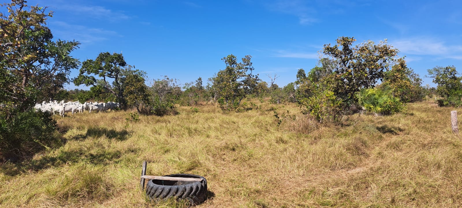Imagem Fazenda à Venda, 25 Alq GOem Zona Rural - Araguaiana