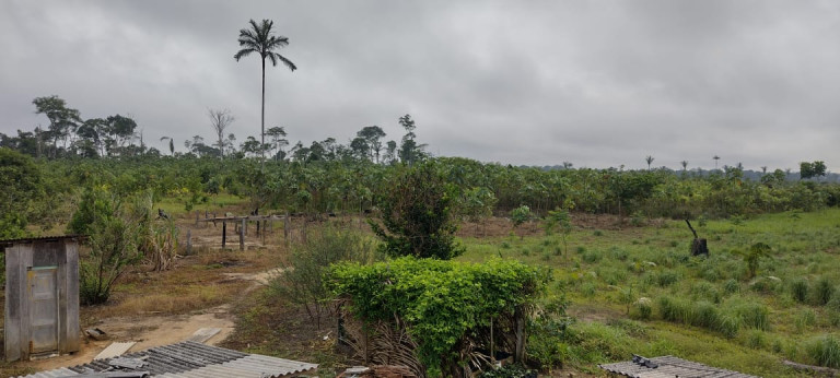 Imagem Terreno à Venda, 2.000 m² em Zona Rural - Humaitá