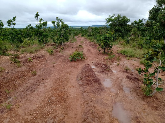 Imagem Fazenda à Venda, 4.870 HA em morumbi - campo grande