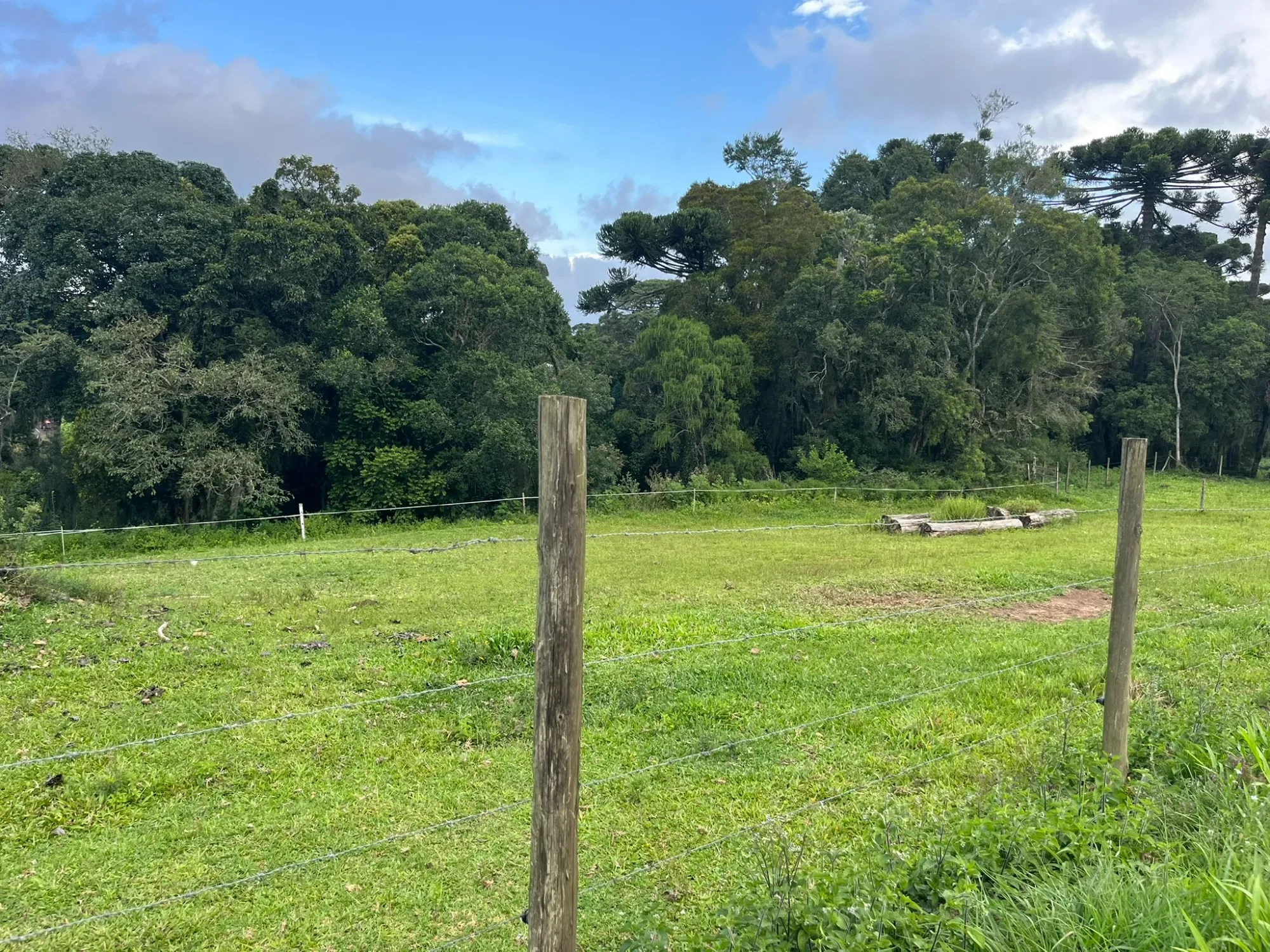 Foto do imóvel: Chácara à Venda, 20000 m² em São Marcos - São José dos Pinhais