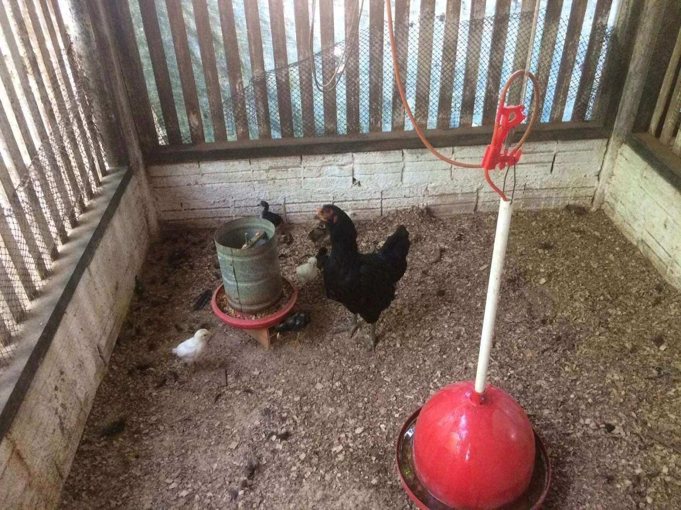 Imagem Chácara à Venda, 227 m² em Santarém Novo - Santarém Novo
