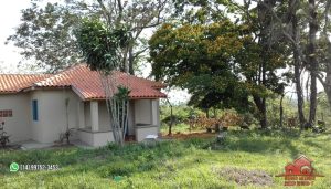 Imagem Fazenda à Venda, 74 Alq SPem ZONA RURAL - Garça