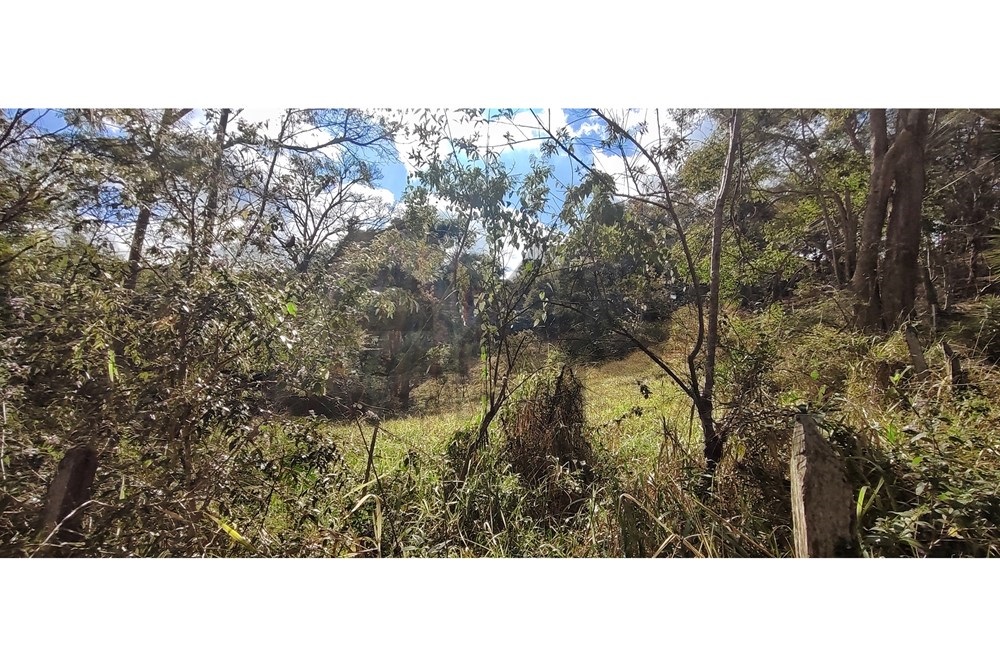 Imagem Terreno à Venda, 3.820 m² em Araras - Petrópolis