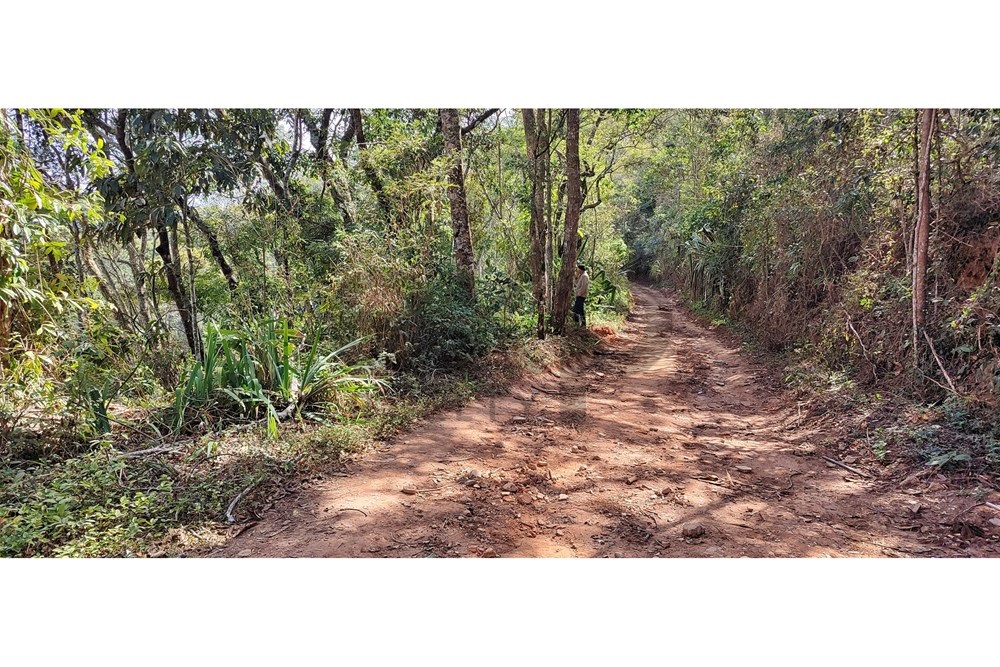 Imagem Terreno à Venda, 3.820 m² em Araras - Petrópolis