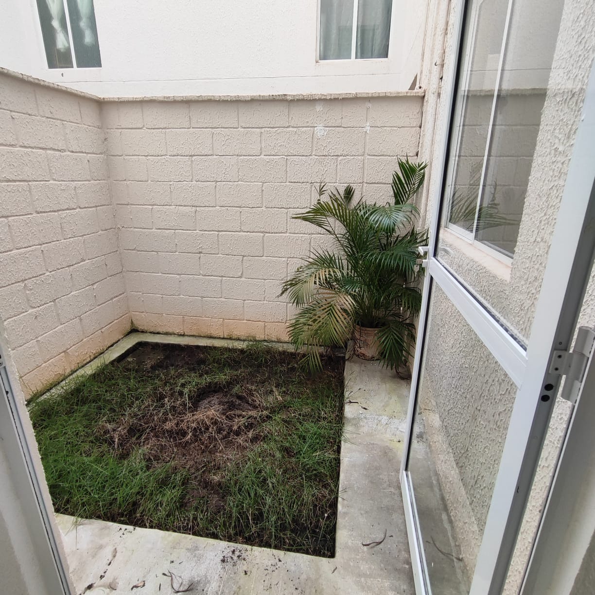 Imagem Apartamento com 2 Quartos para Alugar, 40 m² em Boa União (Abrantes) - Camaçari