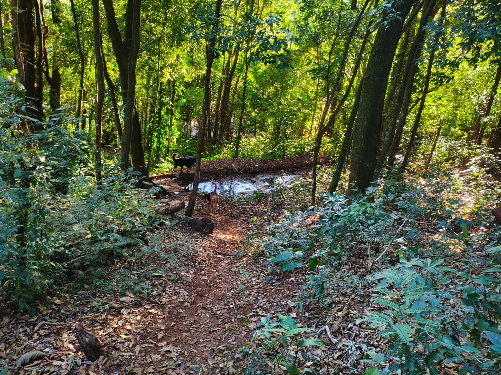 Foto do imóvel: Terreno à Venda, 2.000 m² em Recanto da Aldeia - Brumadinho