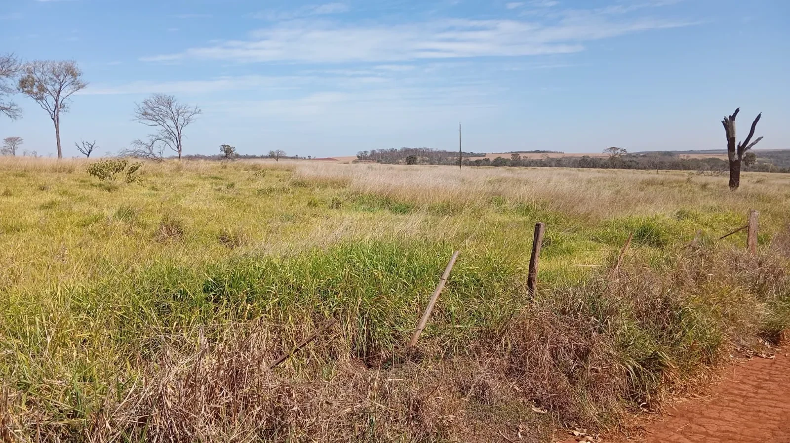 Imagem Fazenda à Venda, 24 Alq. GO em Área Rural de Jataí - Jataí