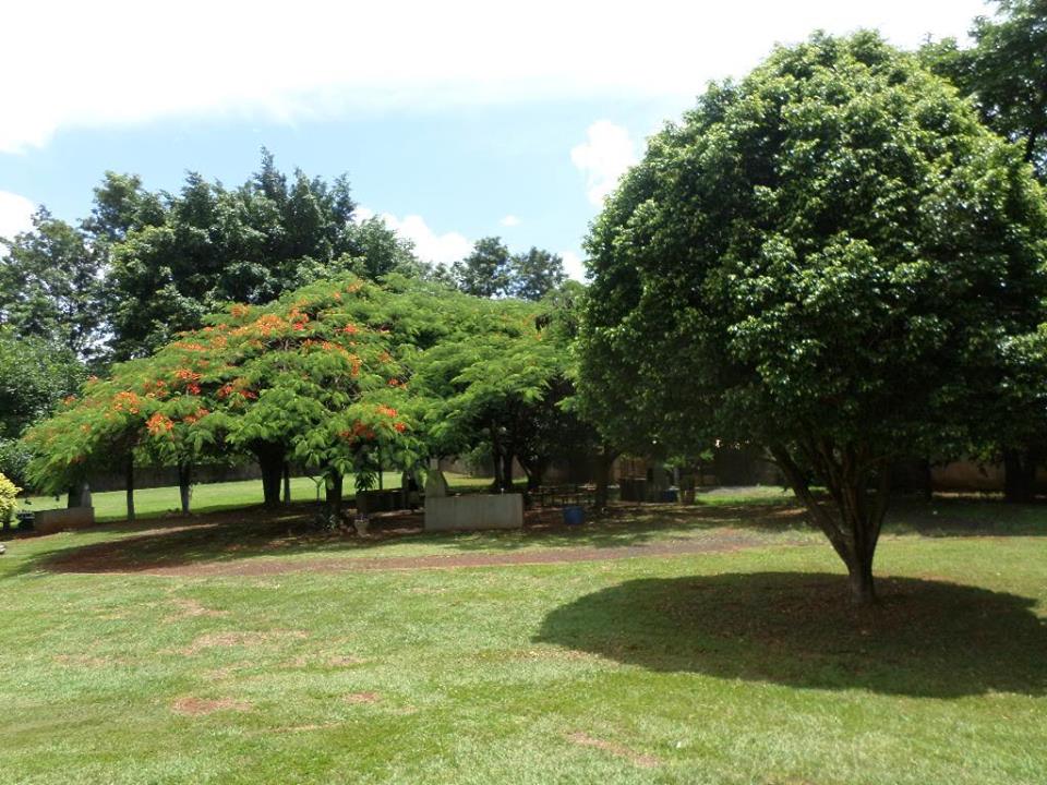 Imagem Apartamento com 3 Quartos à Venda, 70 m²em Parque Industrial Lagoinha - Ribeirão Preto