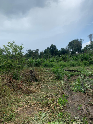 Imagem Fazenda à Venda, 837 HA em Área Rural de Santarém - Santarém