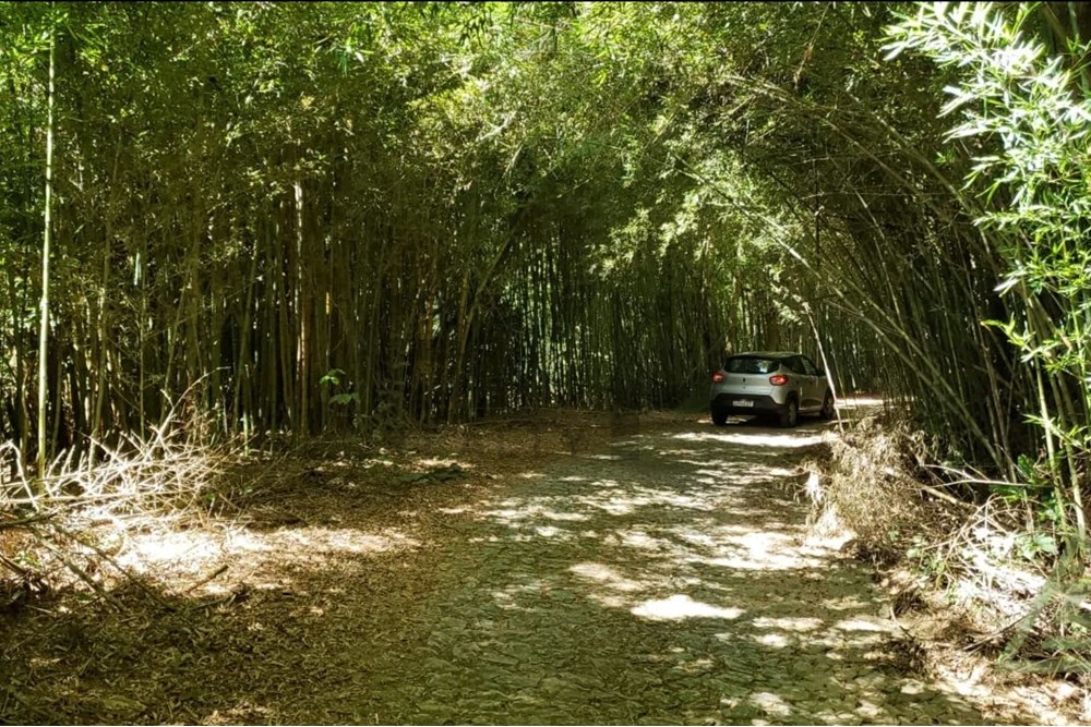 Foto do imóvel: Terreno à Venda, 20.346 m² em Pedro do Rio - Petrópolis
