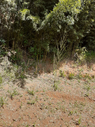 Imagem Imóvel Comercial à Venda, 100 m² em Pimenteiras - Teresópolis