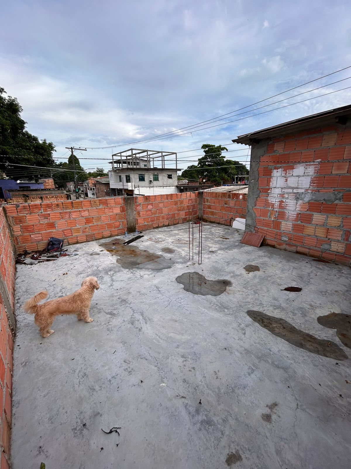 Imagem Casa com 2 Quartos à Venda, 100 m²em Santa Etelvina - Manaus