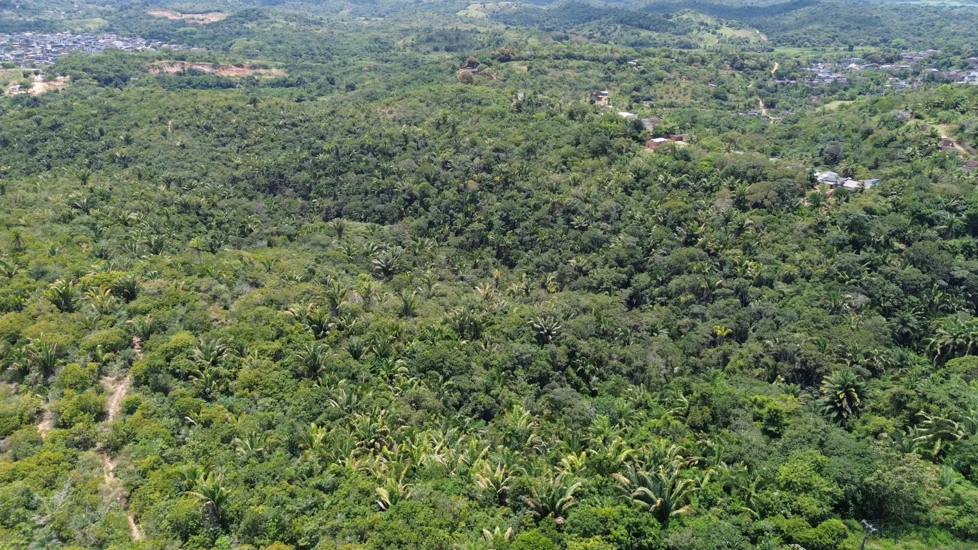 Imagem Terreno à Venda, 544000 metros em centro - Simoes Filho