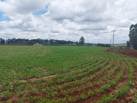 Imagem Terreno à Venda,  em Vila Industrial - Arapongas