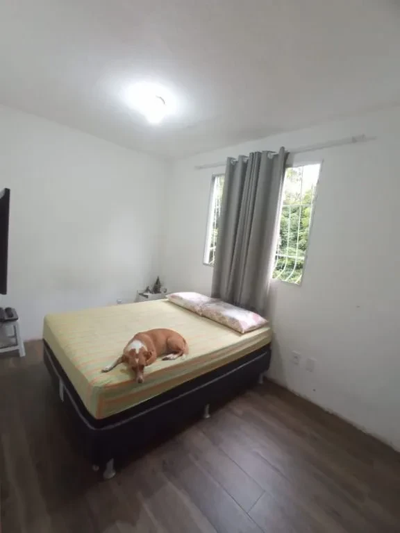 Imagem Apartamento com 2 Quartos à Venda, 45 m² em Santa Amélia - Belo Horizonte