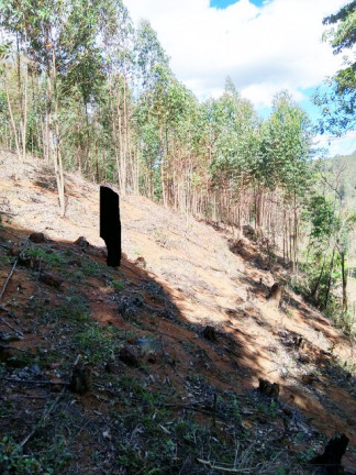 Imagem Terreno à Venda, 1.000 m² em Jardim Zaira - Mauá