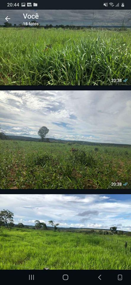 Imagem Fazenda à Venda, 1047 HA em ZONA RURAL - Guiratinga
