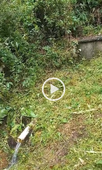 Imagem Chácara com 2 Quartos à Venda, 117 m² em Águas Mornas - Águas Mornas