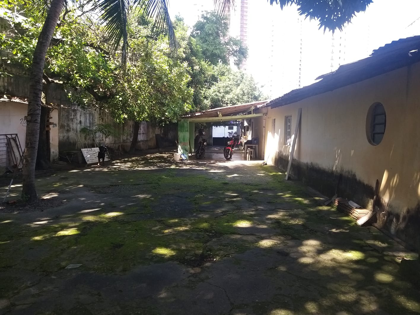 Imagem Terreno à Venda, 1.000 m² em Rosarinho - Recife