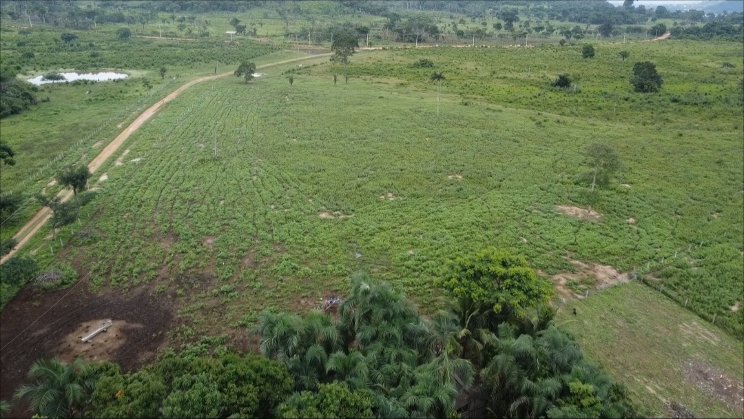 Foto do imóvel: Fazenda à Venda, 90 m²em Centro - São Félix do Xingu