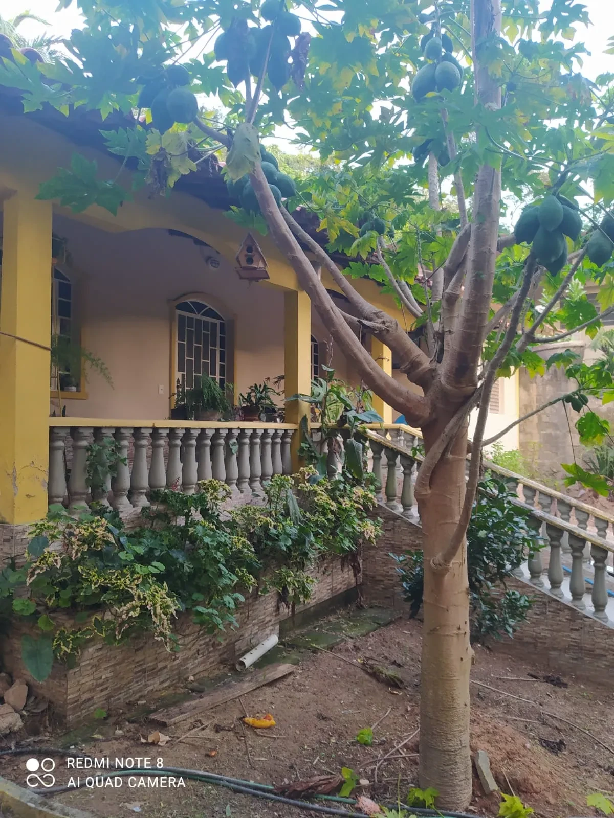 Foto do imóvel: Chácara com 5 Quartos à Venda, 8000 m² em Ravenópolis (Ravena) - Sabará