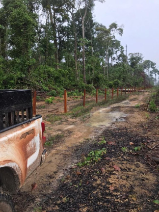 Imagem Fazenda à Venda, 837 HA em Área Rural de Santarém - Santarém