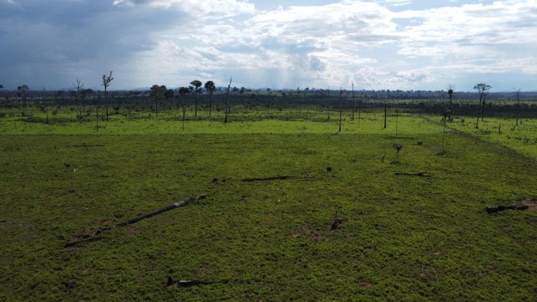 Foto do imóvel: Fazenda à Venda, 430 m² em Centro  - São Félix do Xingu