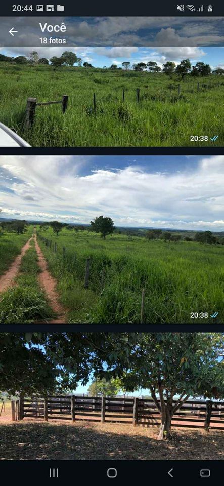 Imagem Fazenda à Venda, 1047 HA em ZONA RURAL - Guiratinga