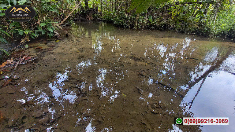 Imagem Fazenda à Venda,  em Zona Rural - Candeias do Jamari