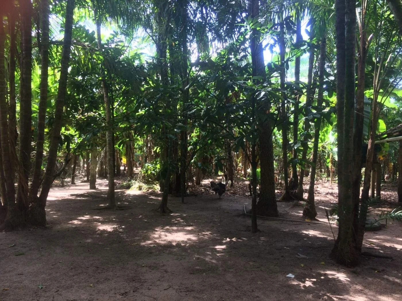 Imagem Chácara à Venda, 227 m² em Santarém Novo - Santarém Novo