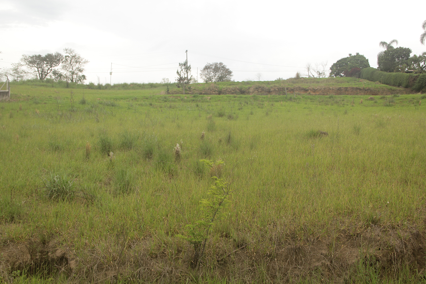 Imagem Terreno à Venda, 1 m²em lambari - Guararema